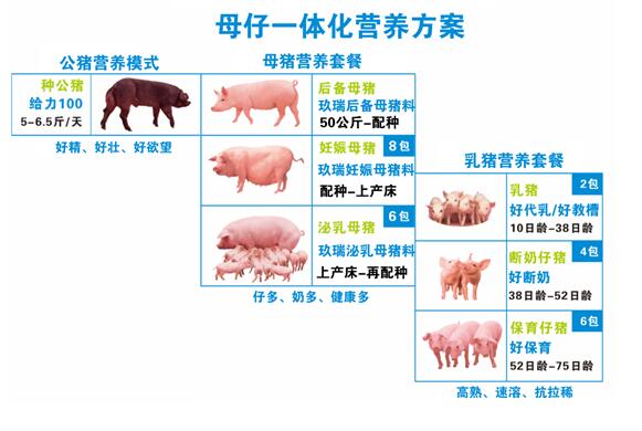 贝斯特 - 全球最奢华的游戏平台