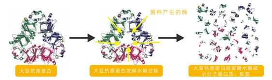 贝斯特 - 全球最奢华的游戏平台