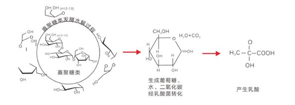 贝斯特 - 全球最奢华的游戏平台